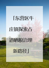 东营区牛庄镇探索占道晒粮治理新路径