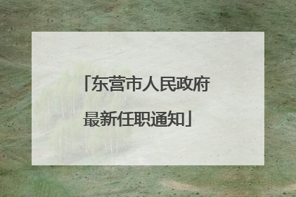 东营市人民政府最新任职通知