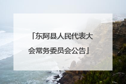 东阿县人民代表大会常务委员会公告