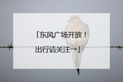 东风广场开放！出行请关注→