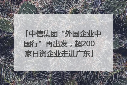 中信集团“外国企业中国行”再出发，超200家日资企业走进广东