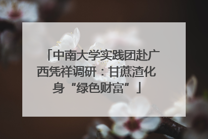 中南大学实践团赴广西凭祥调研：甘蔗渣化身“绿色财富”