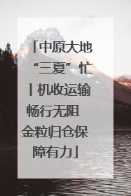 中原大地“三夏”忙丨机收运输畅行无阻 金粒归仓保障有力