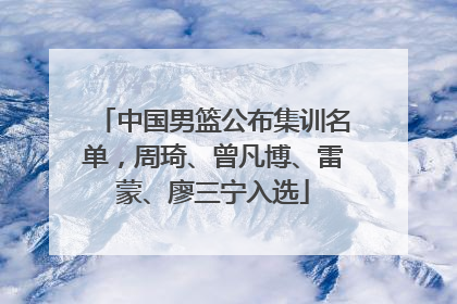 中国男篮公布集训名单，周琦、曾凡博、雷蒙、廖三宁入选