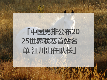 中国男排公布2025世界联赛首站名单 江川出任队长