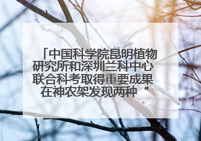 中国科学院昆明植物研究所和深圳兰科中心联合科考取得重要成果 在神农架发现两种“国保”级兰花