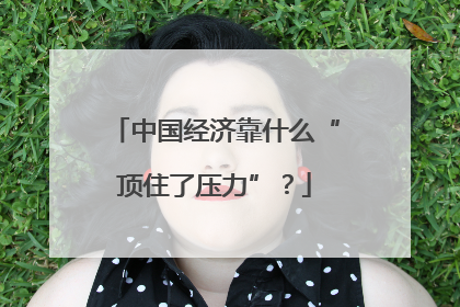 中国经济靠什么“顶住了压力”？