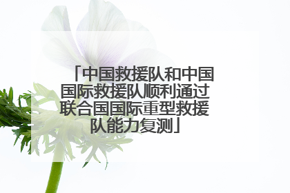 中国救援队和中国国际救援队顺利通过联合国国际重型救援队能力复测