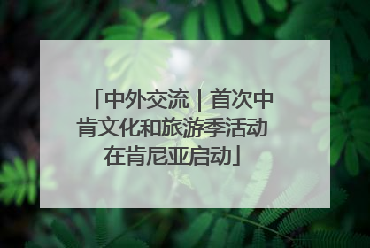 中外交流｜首次中肯文化和旅游季活动在肯尼亚启动
