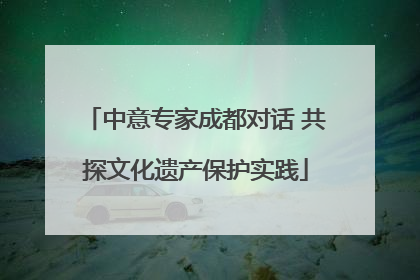 中意专家成都对话 共探文化遗产保护实践