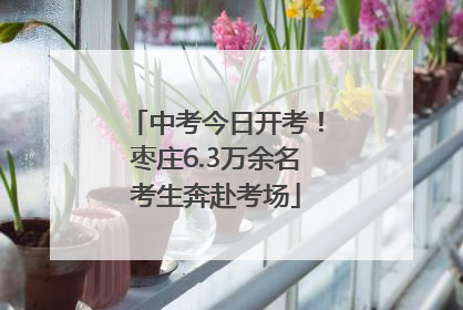 中考今日开考！枣庄6.3万余名考生奔赴考场