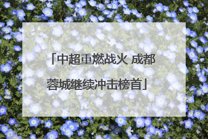 中超重燃战火 成都蓉城继续冲击榜首