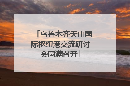 乌鲁木齐天山国际枢纽港交流研讨会圆满召开