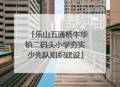 乐山五通桥牛华镇二码头小学夯实少先队组织建设
