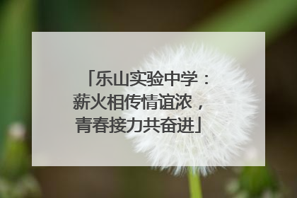乐山实验中学：薪火相传情谊浓，青春接力共奋进
