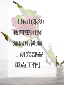 乐山洙幼教育集团聚焦园所管理，研究部署重点工作