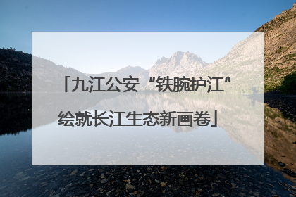 九江公安“铁腕护江”绘就长江生态新画卷