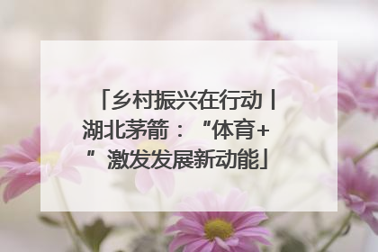 乡村振兴在行动丨湖北茅箭：“体育+”激发发展新动能