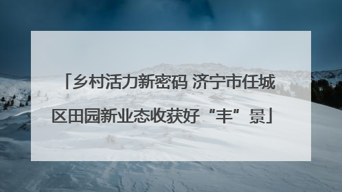 乡村活力新密码 济宁市任城区田园新业态收获好“丰”景