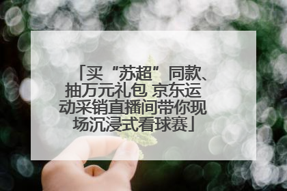 买“苏超”同款、抽万元礼包 京东运动采销直播间带你现场沉浸式看球赛