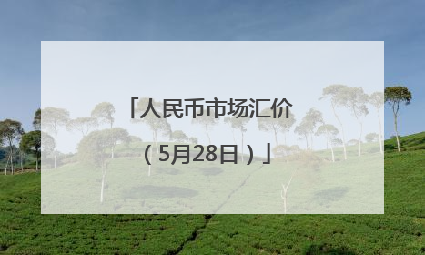 人民币市场汇价（5月28日）
