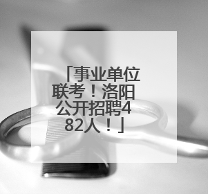 事业单位联考！洛阳公开招聘482人！