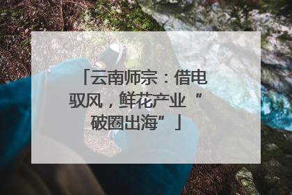 云南师宗：借电驭风，鲜花产业“破圈出海”