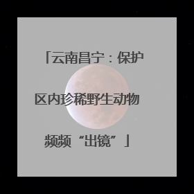 云南昌宁：保护区内珍稀野生动物频频“出镜”