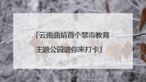 云南曲靖首个禁毒教育主题公园邀你来打卡
