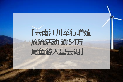 云南江川举行增殖放流活动 逾54万尾鱼游入星云湖