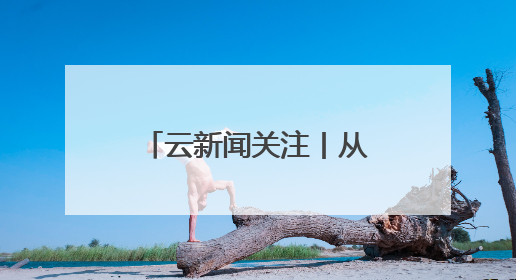 云新闻关注丨从 “A到Z”，发现藏在昆明建筑里的“密码”