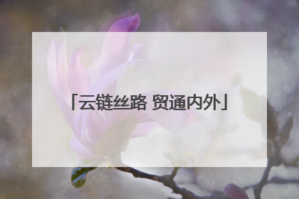 云链丝路 贸通内外