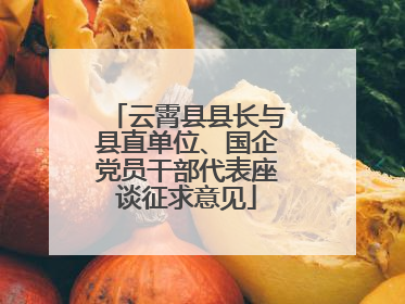 云霄县县长与县直单位、国企党员干部代表座谈征求意见
