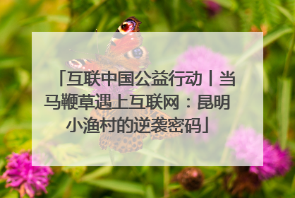 互联中国公益行动丨当马鞭草遇上互联网：昆明小渔村的逆袭密码