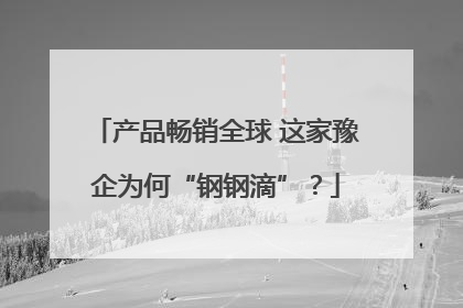 产品畅销全球 这家豫企为何“钢钢滴”？