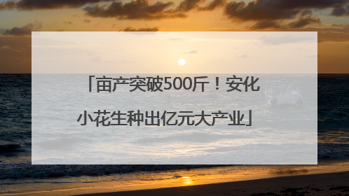 亩产突破500斤！安化小花生种出亿元大产业