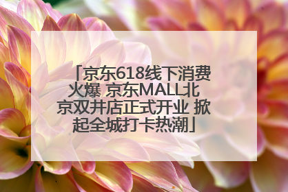 京东618线下消费火爆 京东MALL北京双井店正式开业 掀起全城打卡热潮