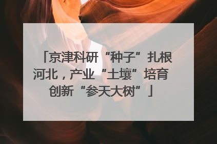 京津科研“种子”扎根河北，产业“土壤”培育创新“参天大树”