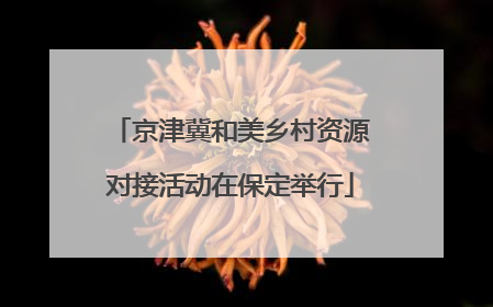 京津冀和美乡村资源对接活动在保定举行