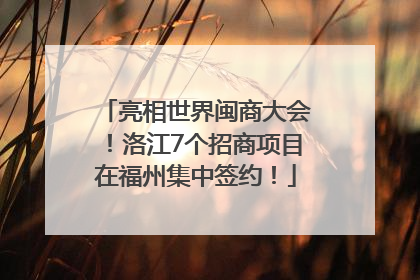 亮相世界闽商大会！洛江7个招商项目在福州集中签约！