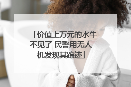 价值上万元的水牛不见了 民警用无人机发现其踪迹