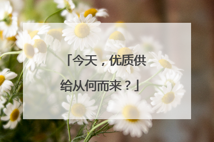 今天，优质供给从何而来？