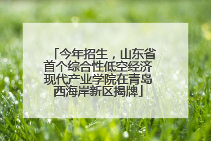 今年招生，山东省首个综合性低空经济现代产业学院在青岛西海岸新区揭牌
