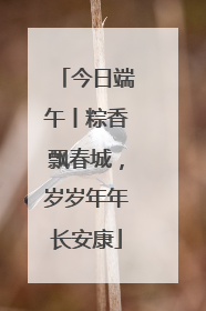 今日端午丨粽香飘春城，岁岁年年长安康