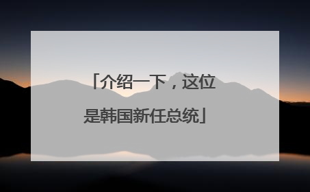介绍一下，这位是韩国新任总统