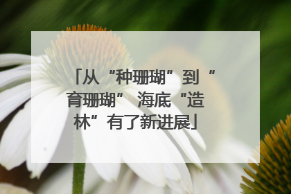 从“种珊瑚”到“育珊瑚” 海底“造林”有了新进展