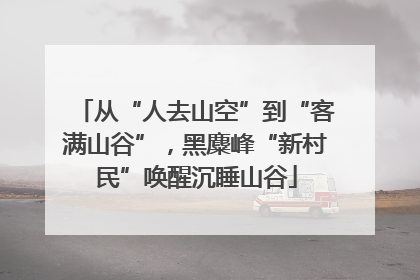 从“人去山空”到“客满山谷”，黑麋峰“新村民”唤醒沉睡山谷