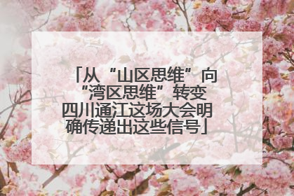从“山区思维”向“湾区思维”转变 四川通江这场大会明确传递出这些信号