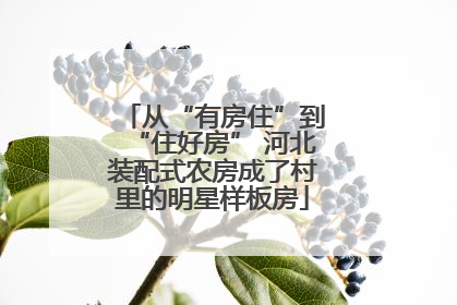 从“有房住”到“住好房” 河北装配式农房成了村里的明星样板房