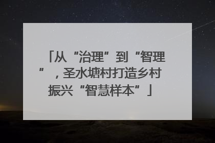 从“治理”到“智理”，圣水塘村打造乡村振兴“智慧样本”